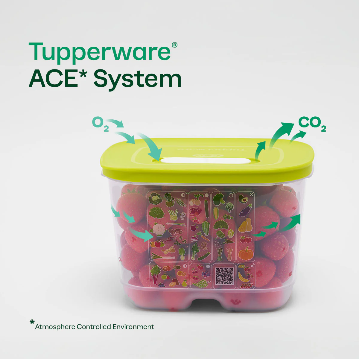 FridgeSmart® Containers - Image 7